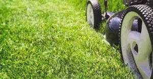 Lawn Care Business: Tips for Success